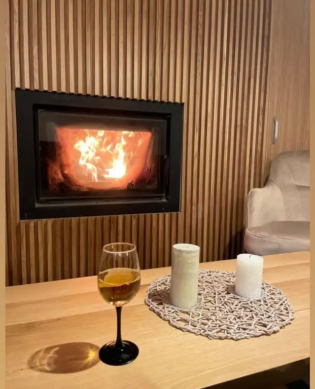 Relaxation lounge area at Rodnei Retreat Spa with cozy fireplace and natural wood design